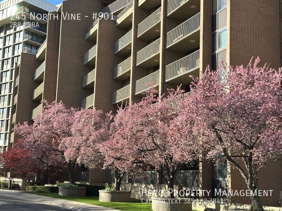Apartment for rent at 245 N Vine #901, Salt Lake City, UT 84103