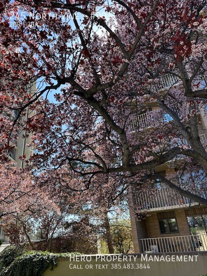 Apartment for rent at 245 N Vine #901, Salt Lake City, UT 84103