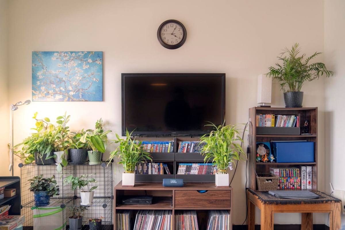 Apartment for rent at 516 University Ave, Ithaca, NY 14850
