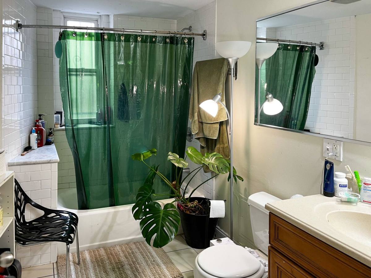 Apartment for rent at 136 Dwight St, New Haven, CT 06511