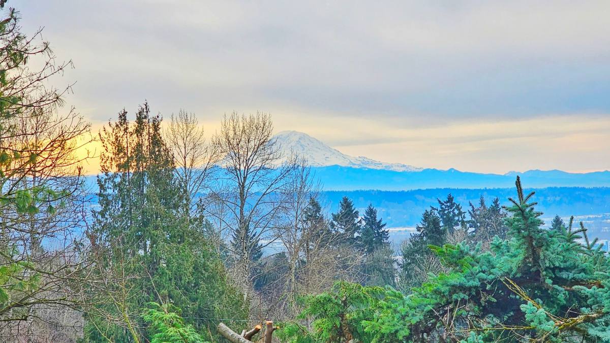 Apartment for rent at 7127 S 130th St, Seattle, WA 98178
