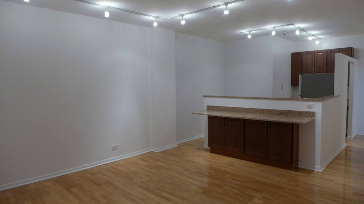 Apartment for rent at 537 S Dearborn, Chicago, IL 60605