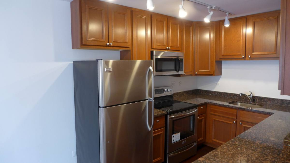 Apartment for rent at 428 S Scoville, Oak Park, IL 60302