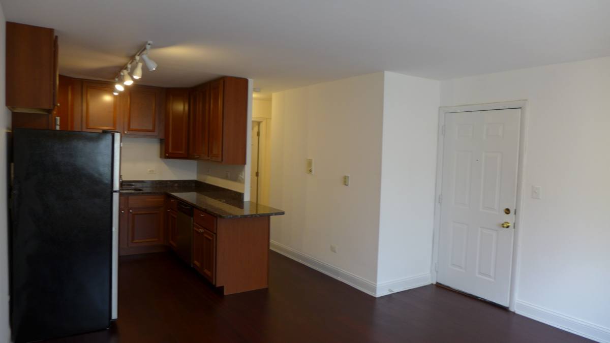 Apartment for rent at 428 S Scoville, Oak Park, IL 60302