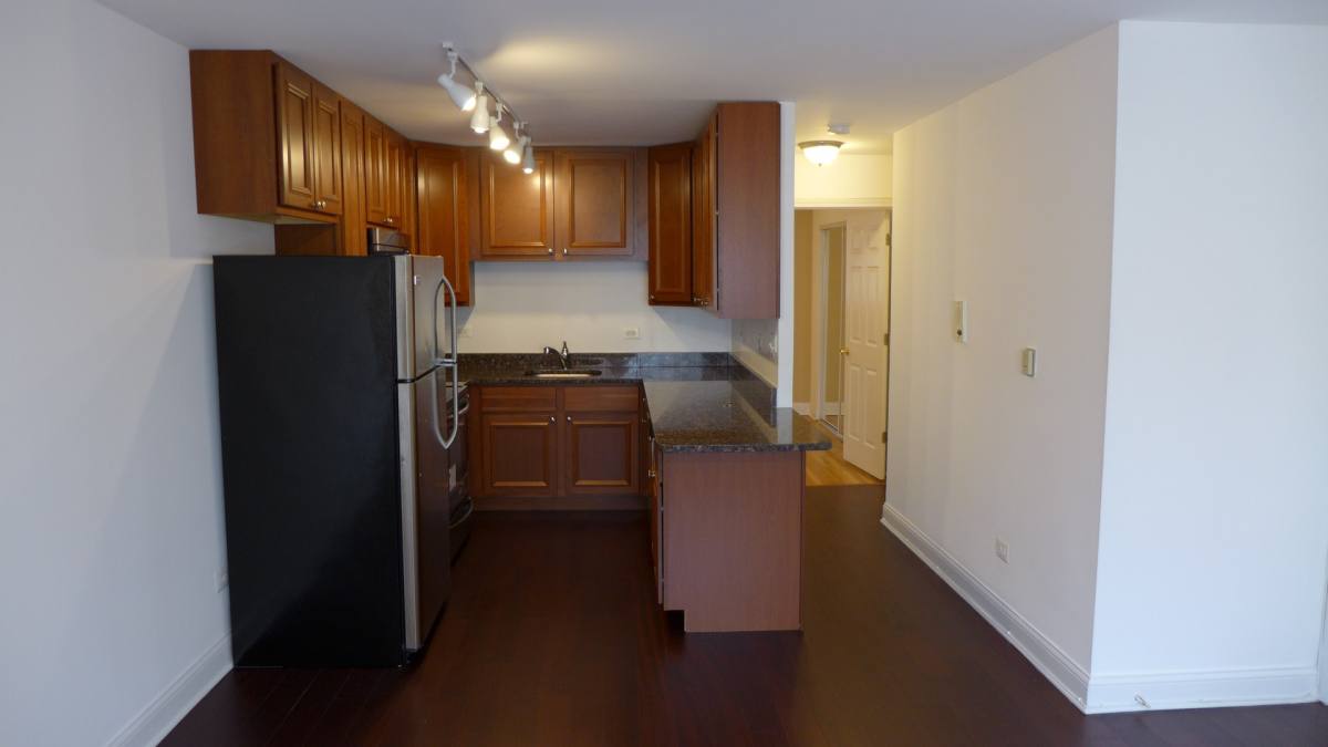 Apartment for rent at 428 S Scoville, Oak Park, IL 60302