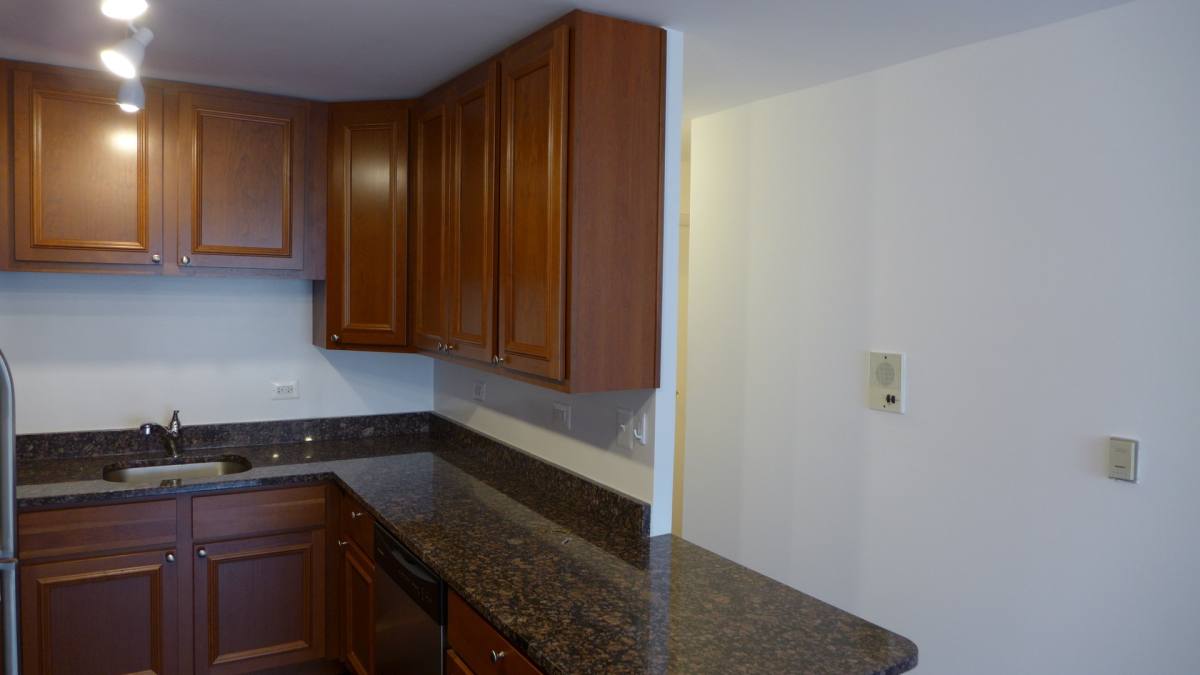 Apartment for rent at 428 S Scoville, Oak Park, IL 60302