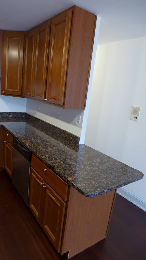 Apartment for rent at 428 S Scoville, Oak Park, IL 60302