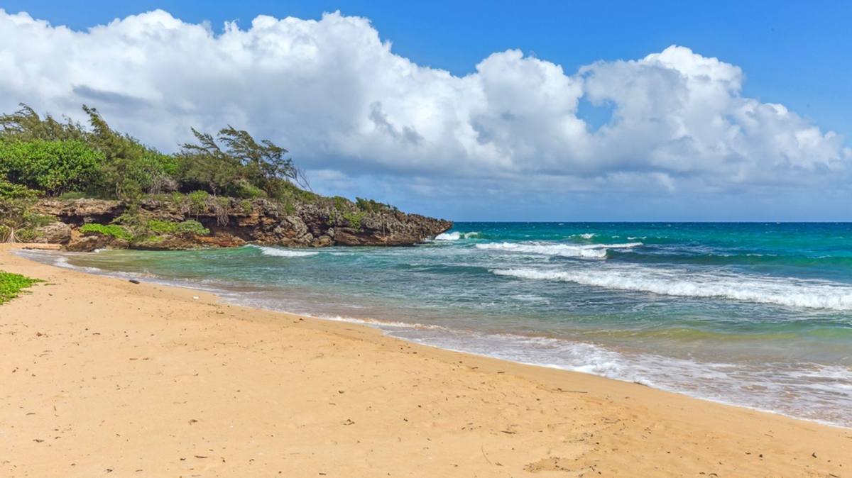 House for rent at 55-137 Kamehameha Highway, Laie, HI 96762