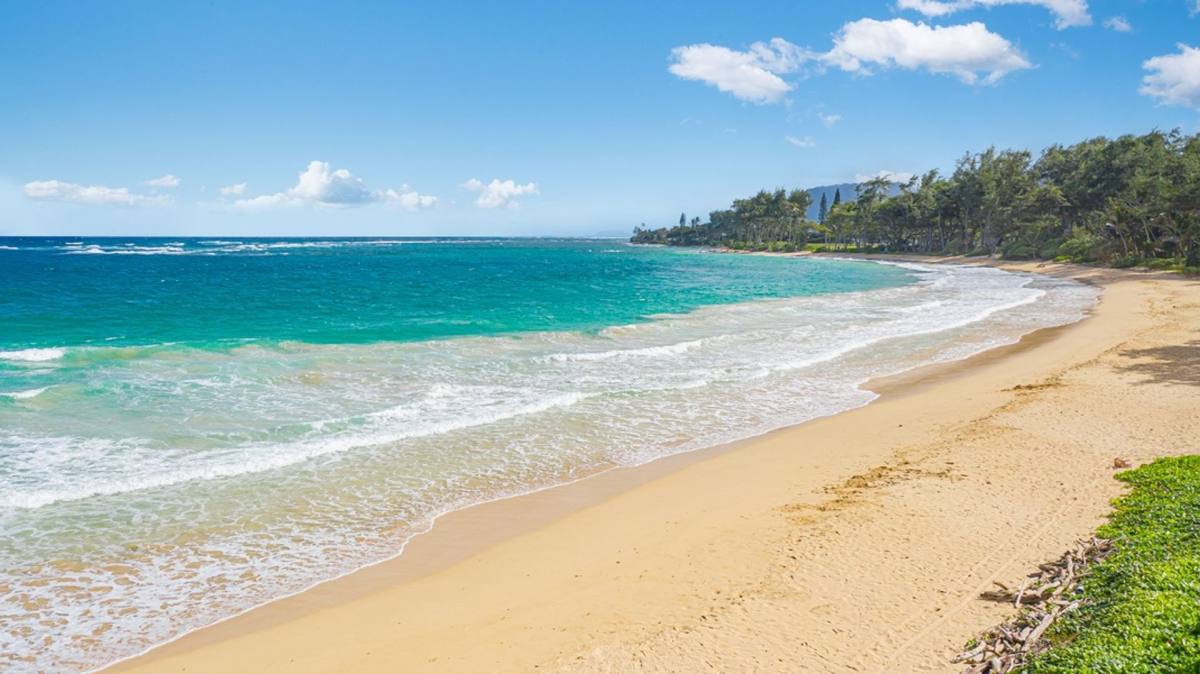 House for rent at 55-137 Kamehameha Highway, Laie, HI 96762