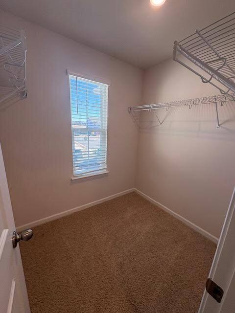 Townhouse for rent at 3404-2 Sunstone Way, Greenville, NC 27834