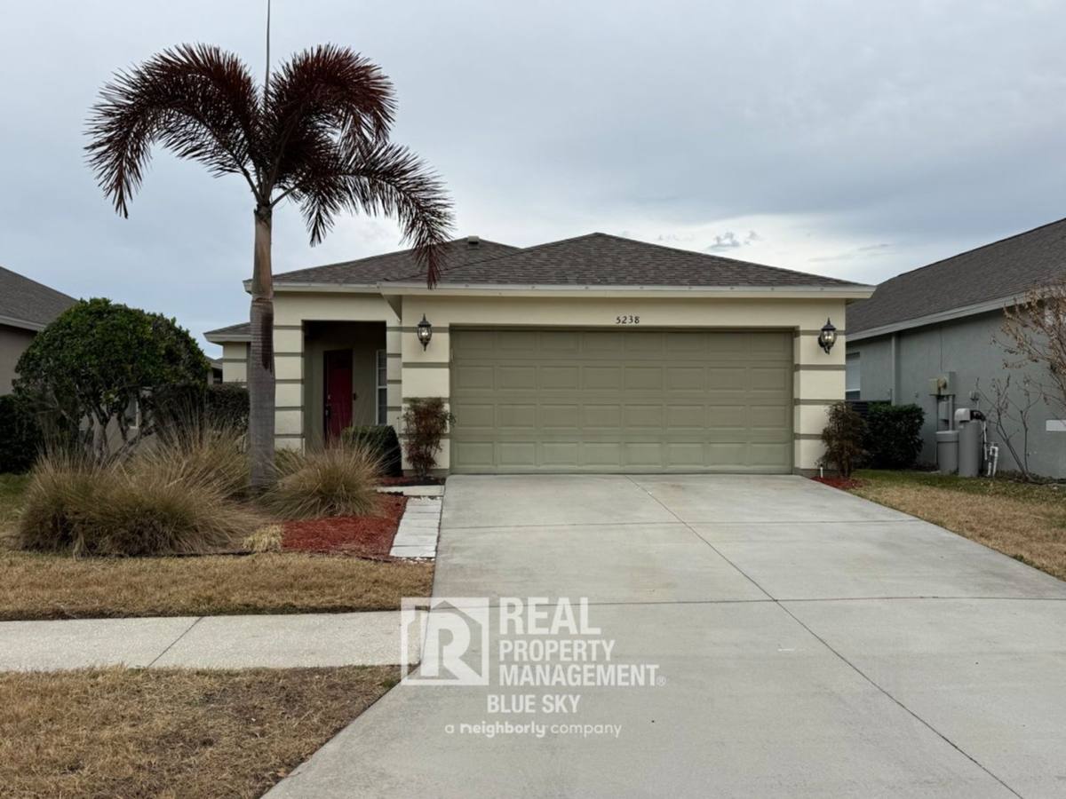 5238 Gato Del Sol Circle, Wesley Chapel, FL 33544