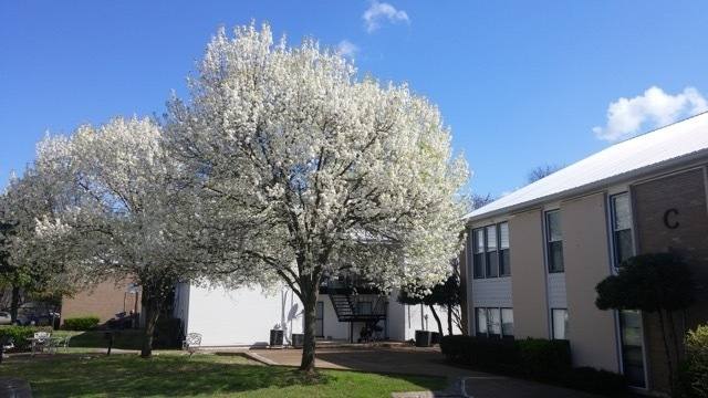 Condo for rent at 246 White Bridge Rd #C5, Nashville, TN 37209