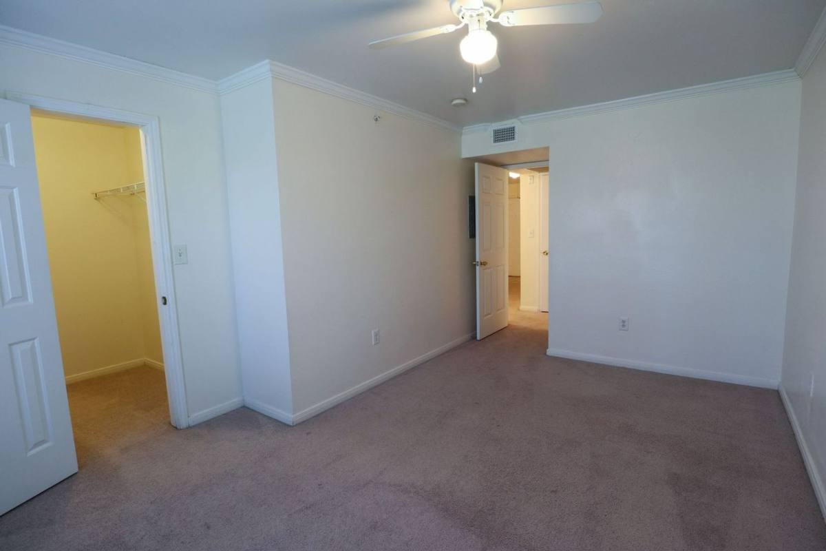 Apartment for rent at 501 W 26th St, Austin, TX 78705