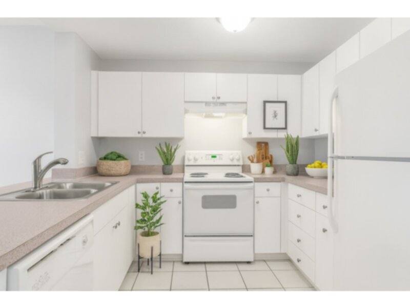 Apartment for rent at Savanah Landings, 4224 Portillo Rd #16A, Spring Hill, FL 34608