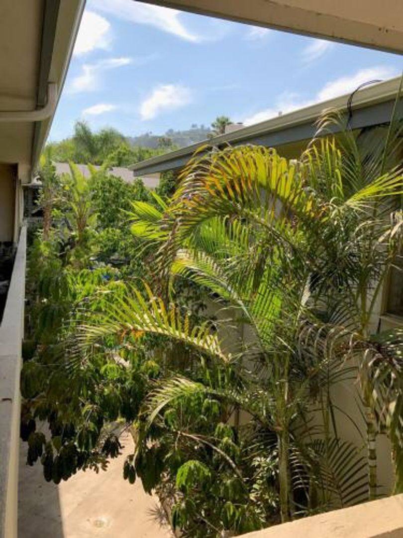 Apartment for rent at 1520 N Hayworth Ave, Los Angeles, CA 90046
