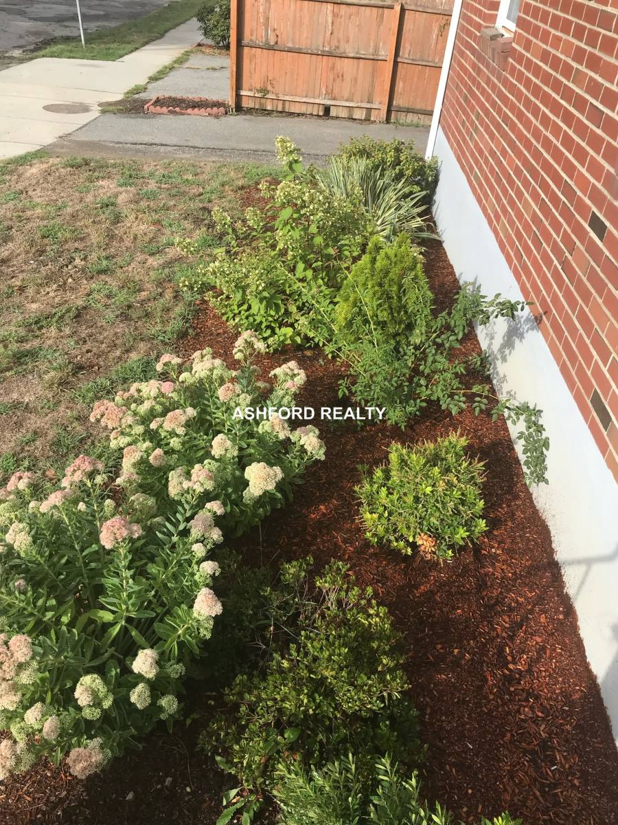 House for rent at 45 Thayer Rd, Belmont, MA 02478