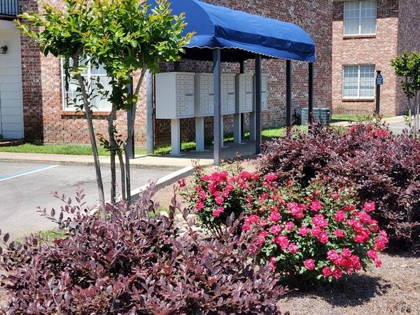 Apartment for rent at The Drake at Oak Grove, 3 Courtland Dr, Hattiesburg, MS 39402