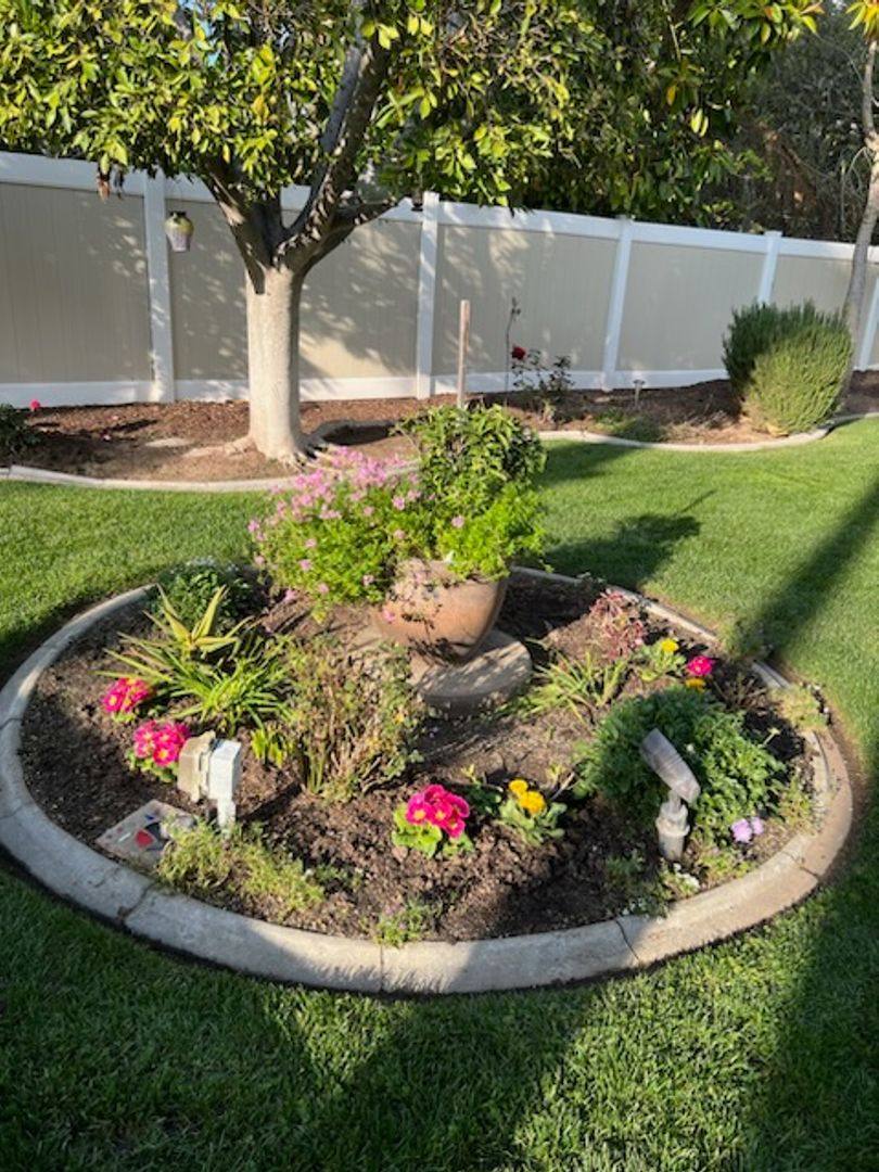 House for rent at 1163 Via Vista, Riverside, CA 92506