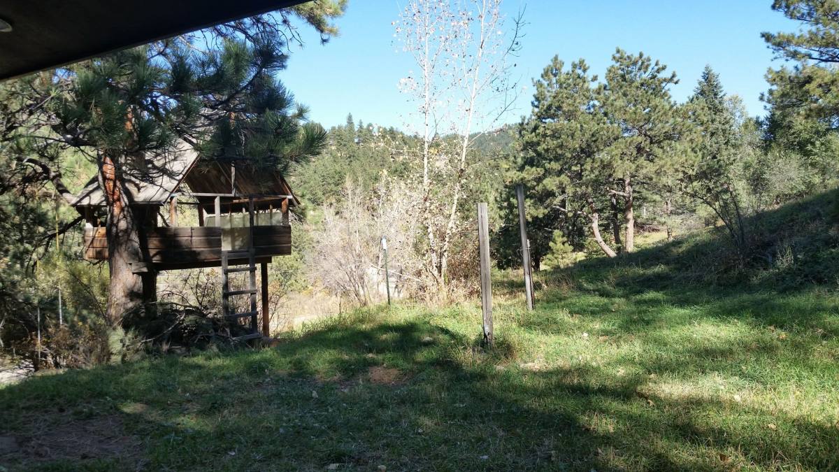 House for rent at 853 Wagonwheel Gap Rd, Boulder, CO 80302