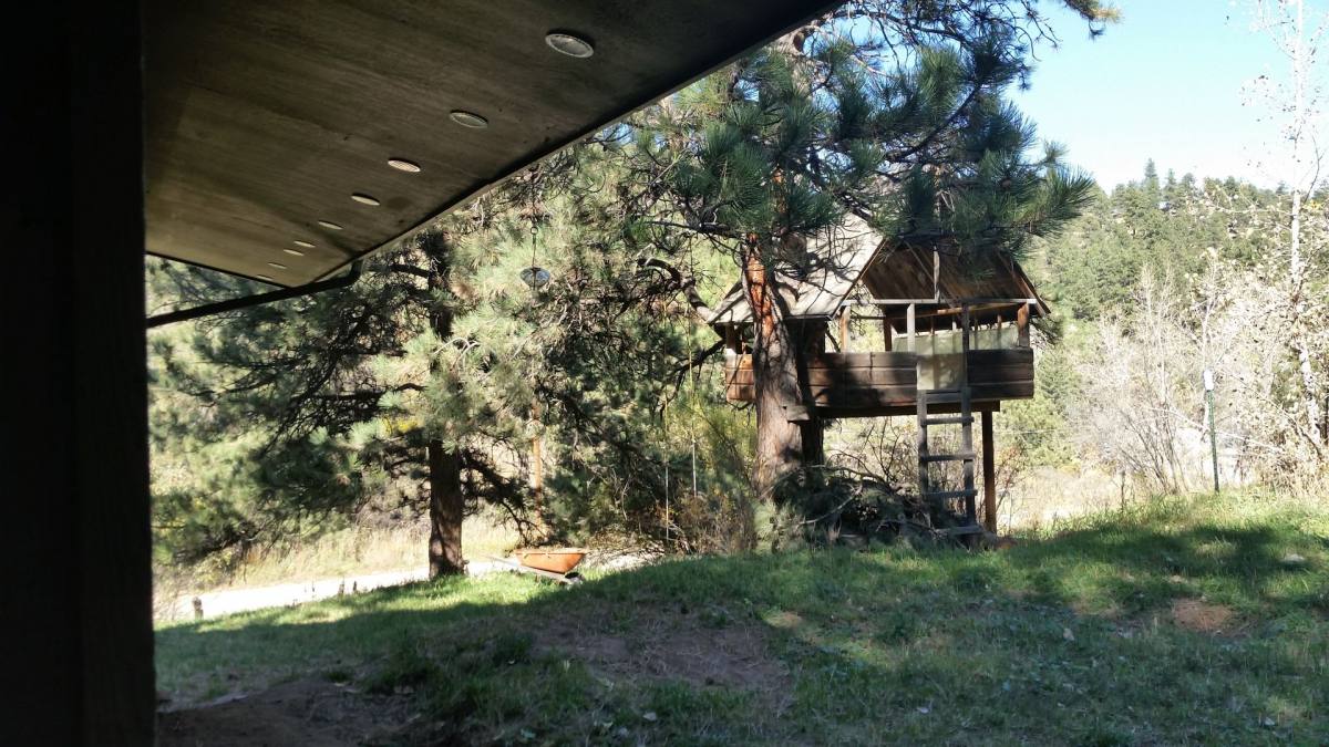 House for rent at 853 Wagonwheel Gap Rd, Boulder, CO 80302