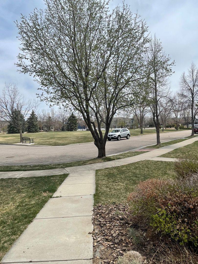 House for rent at 2944 Cornerstone Lane, Fort Collins, CO 80528