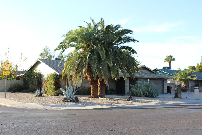 House for rent at 10034 N 33rd Ave, Phoenix, AZ 85051