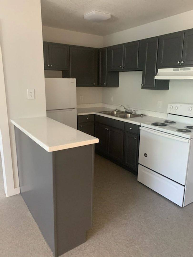 Apartment for rent at 2103 S Ww White Rd, San Antonio, TX 78222
