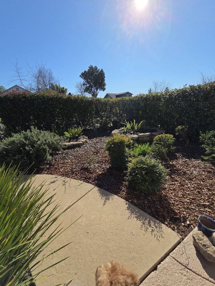 House for rent at 604 Mormon St, Folsom, CA 95630