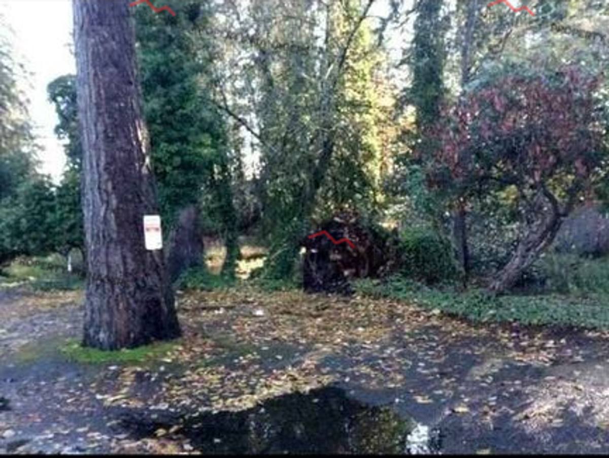 Apartment for rent at 12413 Bridgeport Way SW, Lakewood, WA 98499