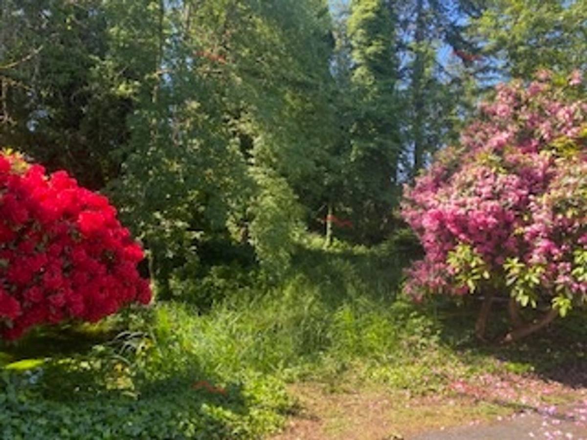 Apartment for rent at 12413 Bridgeport Way SW, Lakewood, WA 98499