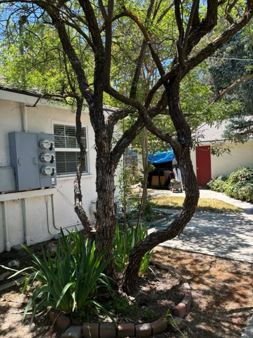 Apartment for rent at 821 Vine St, Paso Robles, CA 93446