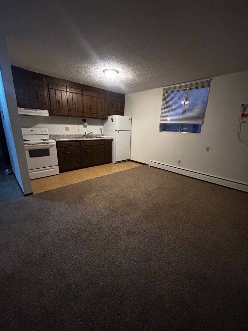Apartment for rent at 1881 Mechanic Ave, Saint Paul, MN 55119