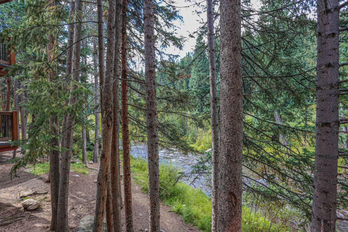 Condo for rent at 105 Tannenbaum 805 Columbine Rd, Breckenridge, CO 80424