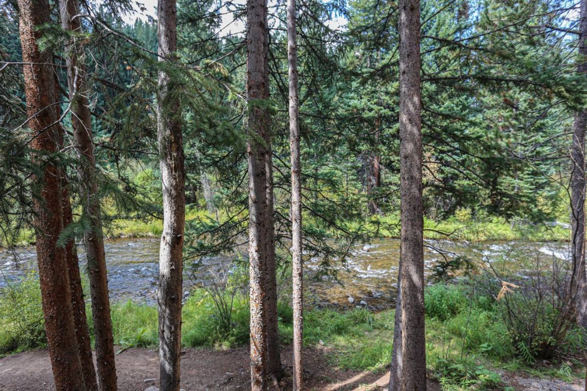 Condo for rent at 105 Tannenbaum 805 Columbine Rd, Breckenridge, CO 80424