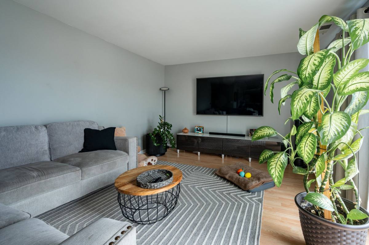 Apartment for rent at 2300 N Harlem, Elmwood Park, IL 60707