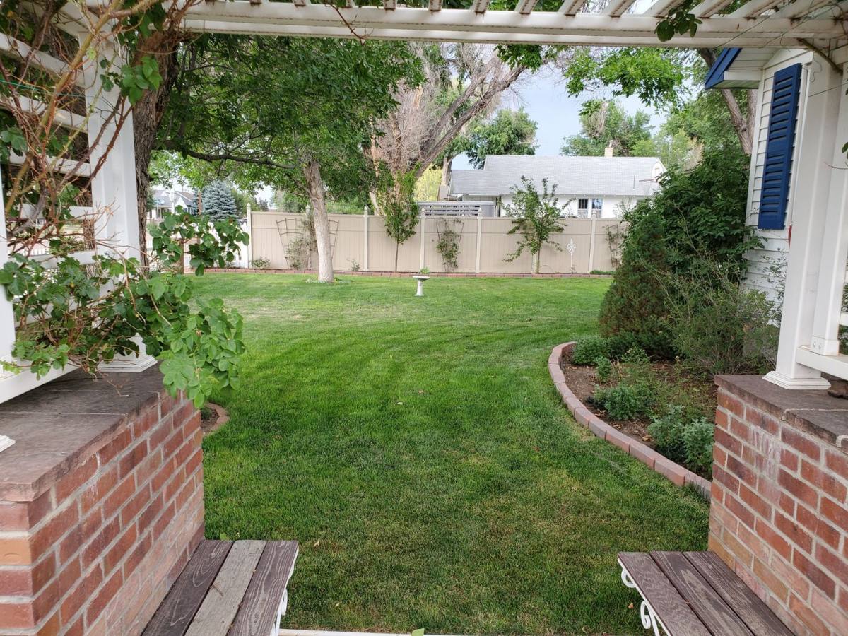 House for rent at 319 Cottonwood Ave, Eaton, CO 80615