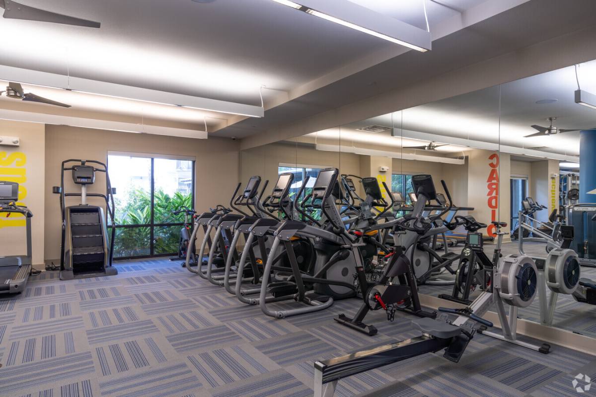 Apartment for rent at 500 Crawford St #5CF1, Houston, TX 77002