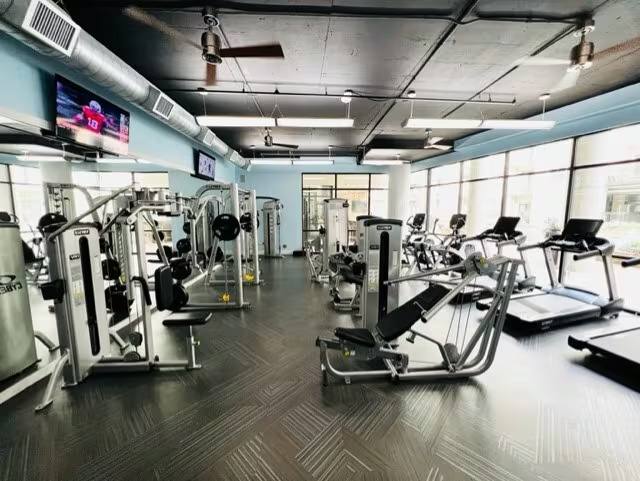 Apartment for rent at 7010 Staffordshire St #EMC, Houston, TX 77030
