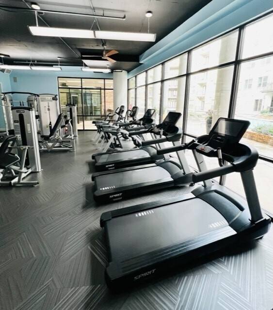 Apartment for rent at 7010 Staffordshire St #EMC, Houston, TX 77030
