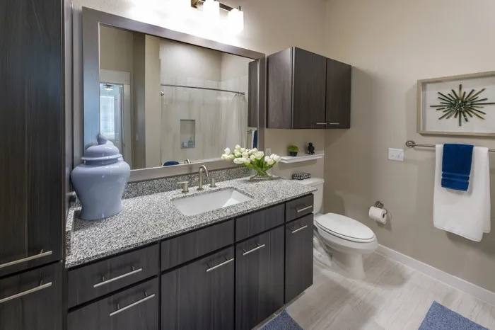 Apartment for rent at 1466 Ivy Park Terrace #IYL, Houston, TX 77047