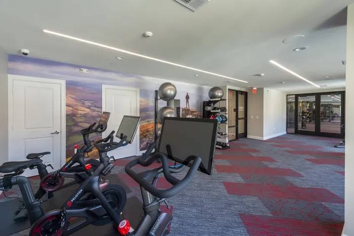 Apartment for rent at 1466 Ivy Park Terrace #IYL, Houston, TX 77047