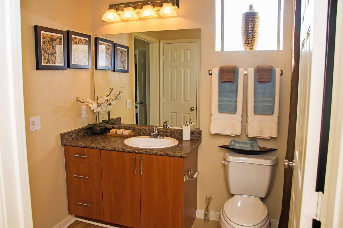 Apartment for rent at 630 Colony Lake Estates Dr #LLE, Stafford, TX 77477