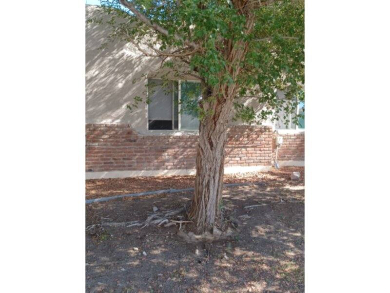 House for rent at 1707 Sunset Dr, Alamosa, CO 81101