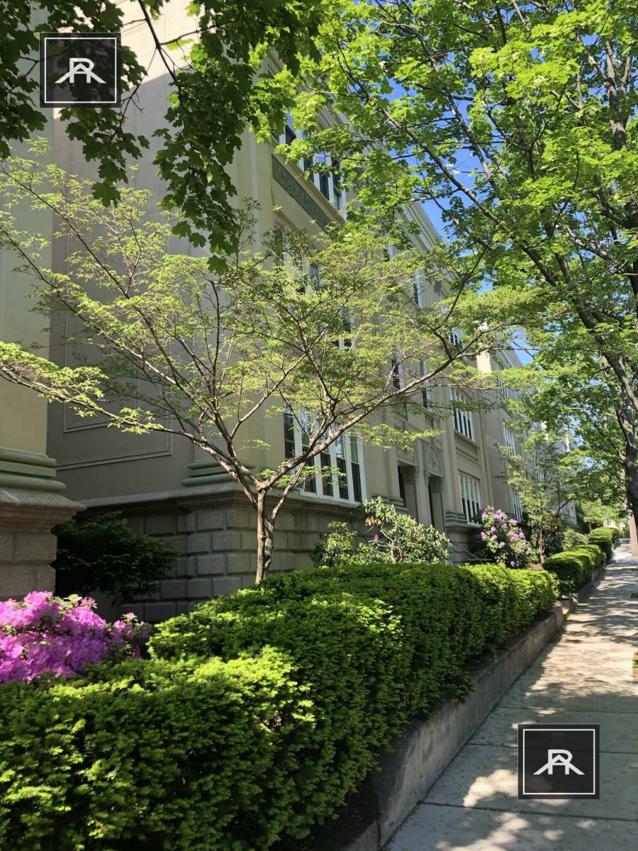 Apartment for rent at 60 Egmont St #5, Brookline, MA 02446