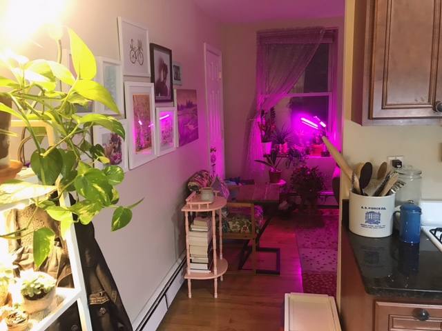 Apartment for rent at 28 Fleet St #9, Boston, MA 02113