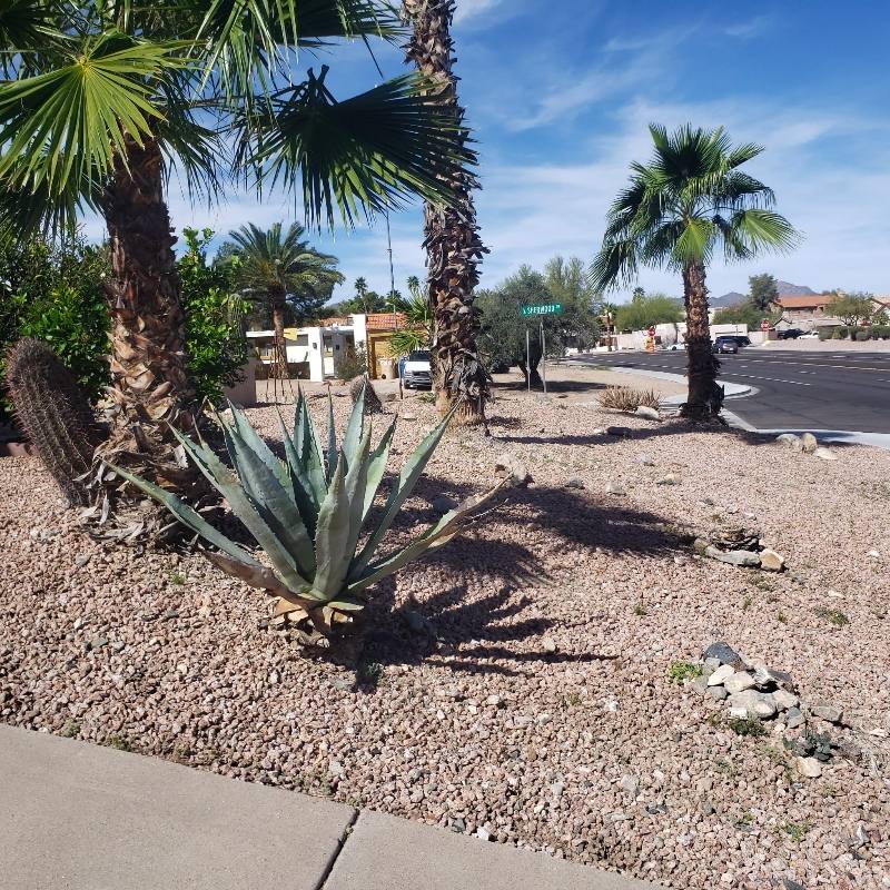 Apartment for rent at 14612 N Saguaro Blvd #A, Fountain Hills, AZ 85268