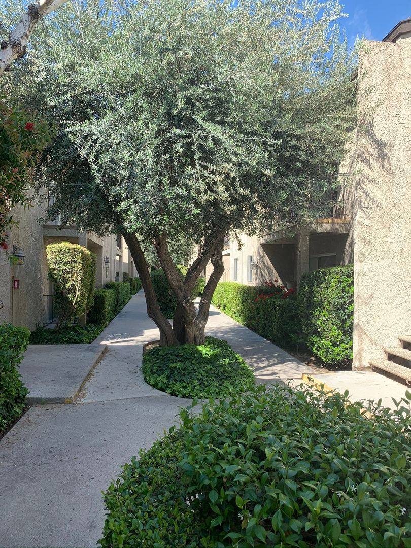 Apartment for rent at 24851 Walnut St, Newhall, CA 91321