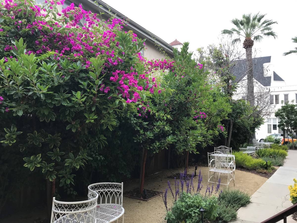 Apartment for rent at 208 N Louise St, Glendale, CA 91206