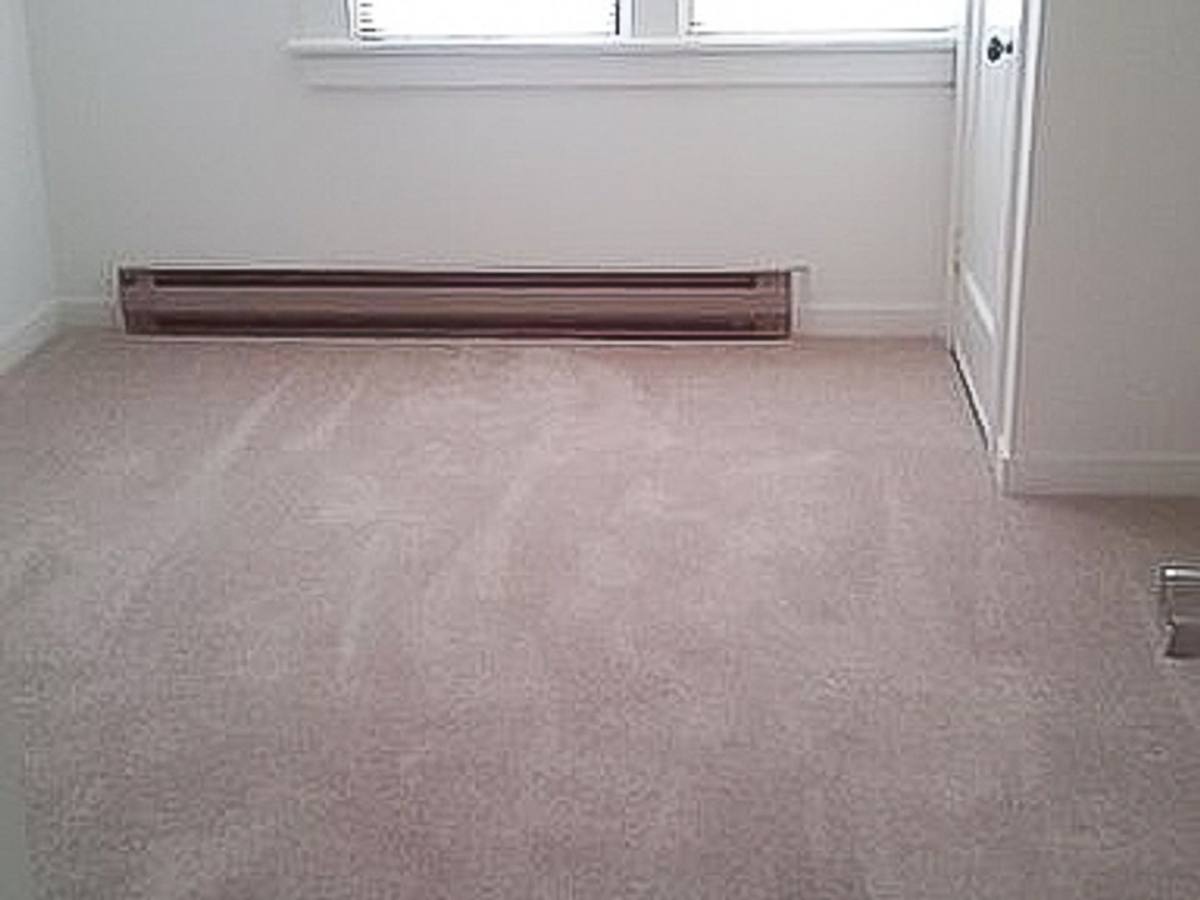 Apartment for rent at 315 E Laurel St, Bellingham, WA 98225