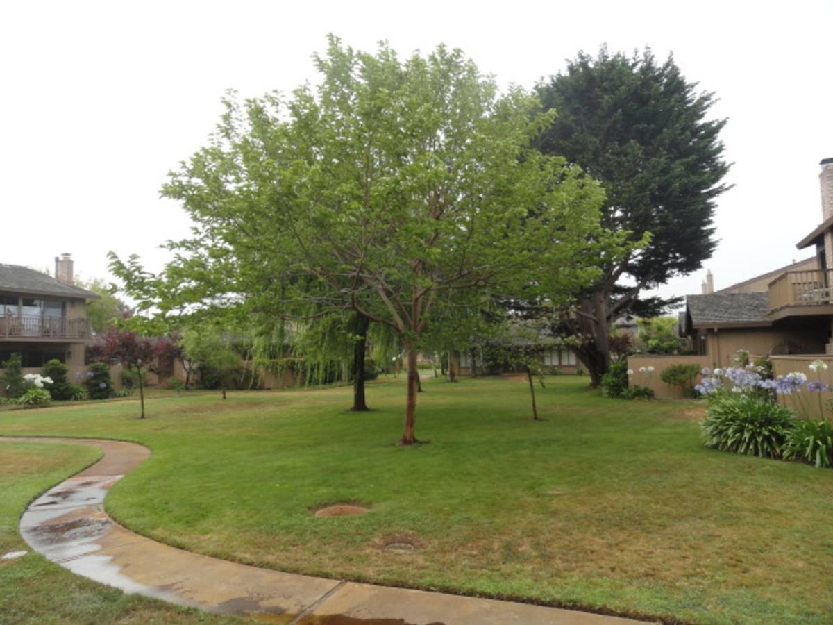 Condo for rent at 3850 Rio Rd, Carmel, CA 93922